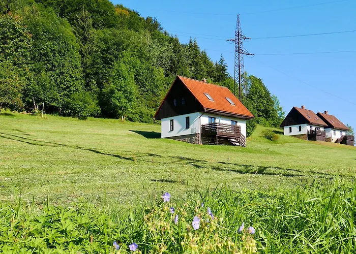 Vakantiehuis Holiday Home Green Valley Park Starkov 1 By Interhome *