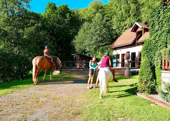 Holiday Home Green Valley Park Starkov 1 By Interhome * Stárkov