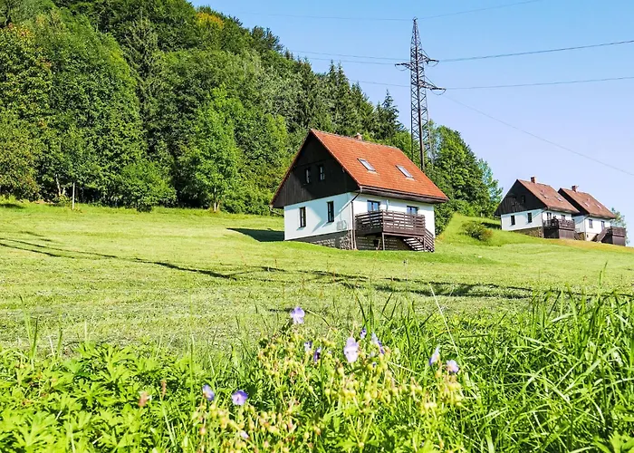 Holiday Home Green Valley Park Starkov 1 By Interhome * Stárkov